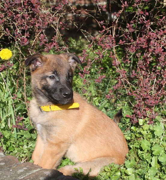 Onze nieuwe aanwinst Kaya!is het geen droppie