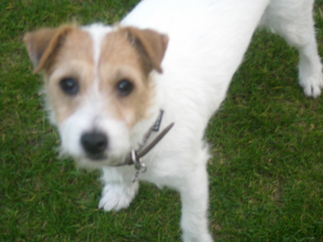 hihi ben ik niet lief..?!