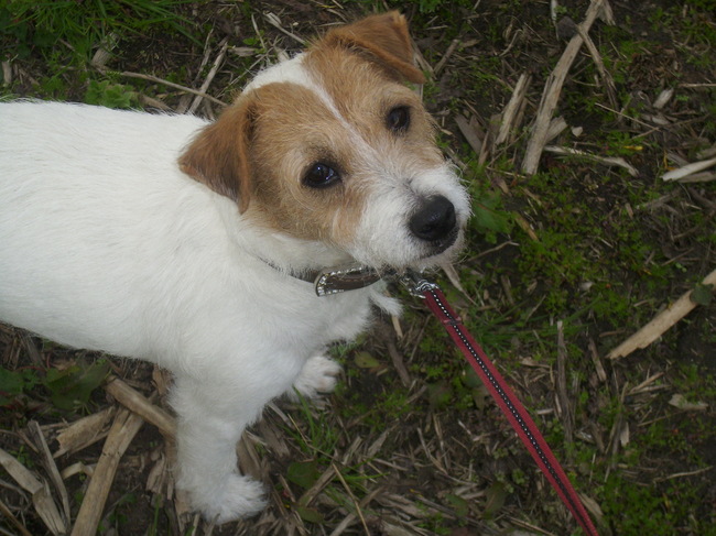 mijn kleine meid!!
<3