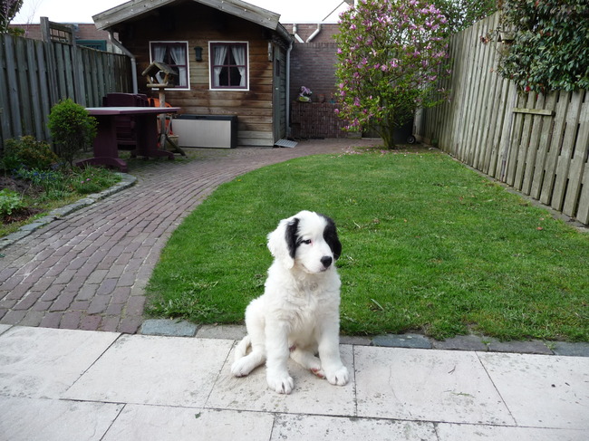 Huh wat is dit toch allemaal?