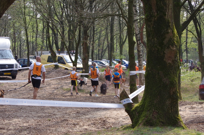 canicross parcours animal event