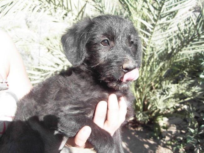 foto op gran canaria