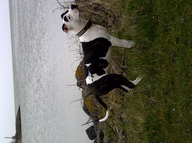 Lekker genieten van het uitzicht