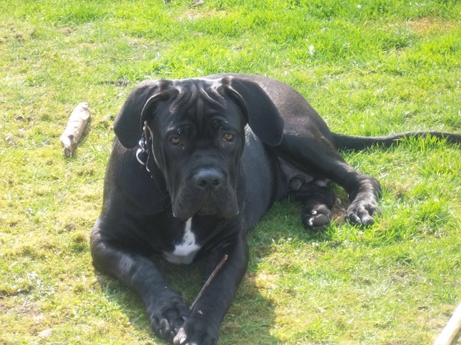 lekker in ut zonnetje