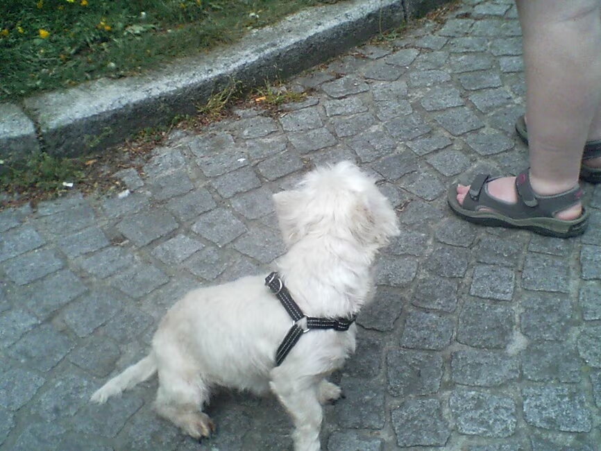 Spike