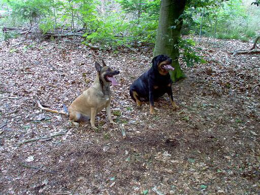 toen nog met zijn tweetjes lekker in het bos