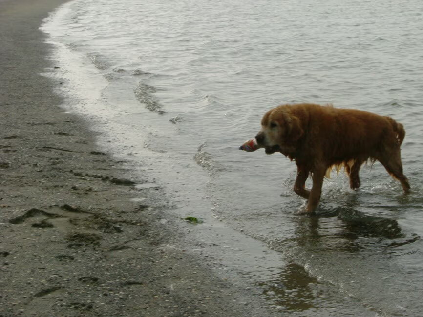 Nog een foto voor een topic, hij haalde graag flesjes met wat zand er…
