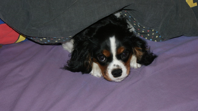 Ze zijn hier weer goe bezig,'k ga mij maar wegsteken.Tot zo he!