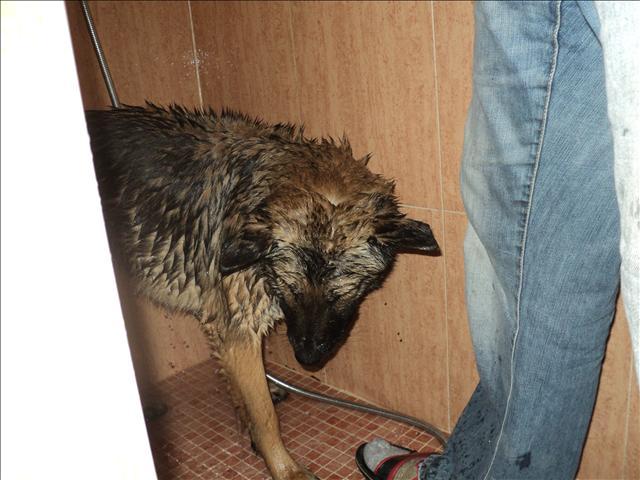 douchen... (mysti:blegh!)