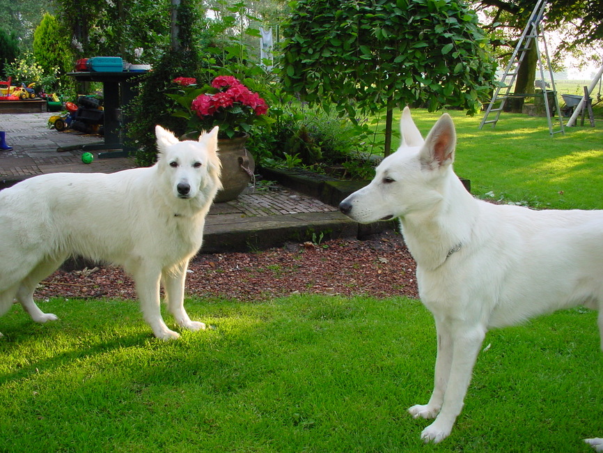 Charlie en moeder Steffi
