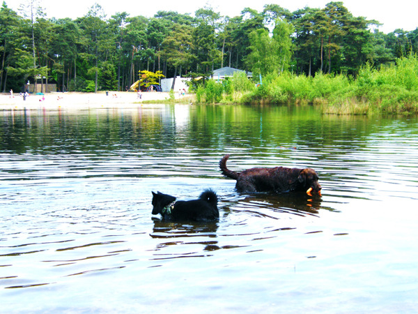 alweer een nieuwe zwemkameraad gevonden