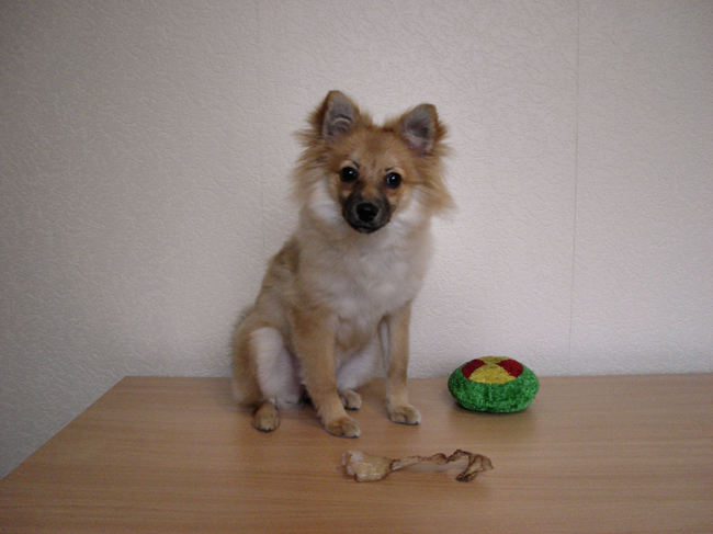 Een recentere foto van Louna