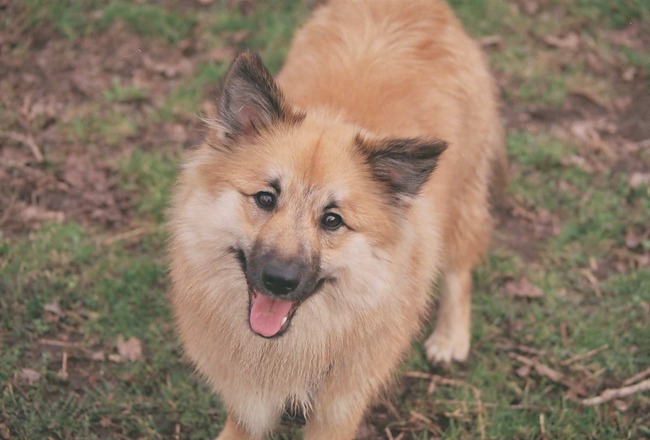 Wil je met me spelen?