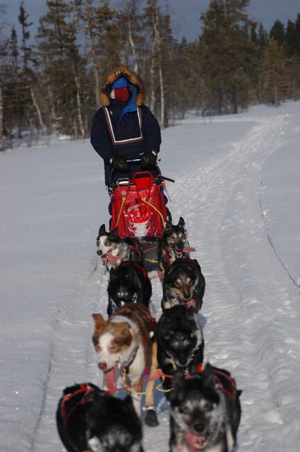 op de slee in Zweden, trainen!