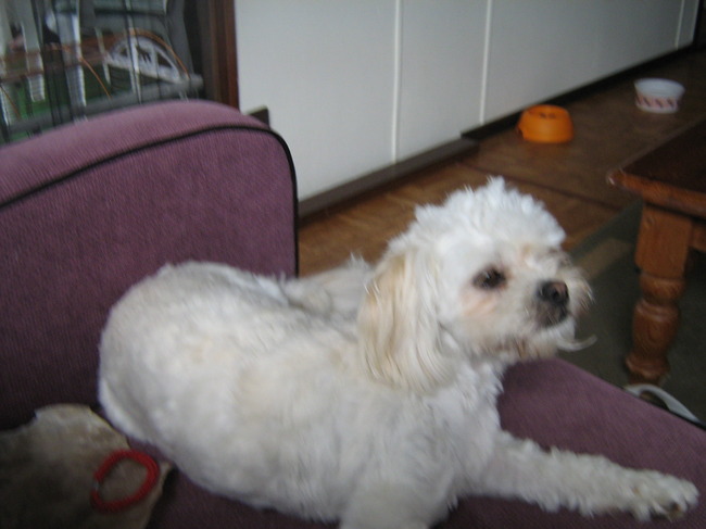 je maakt me wakker !