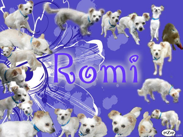 collage Romi