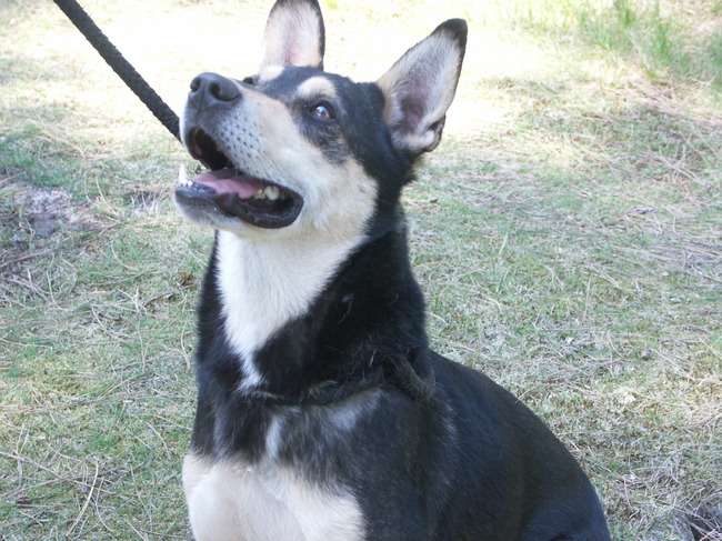 Ben ik geen knapperd ?