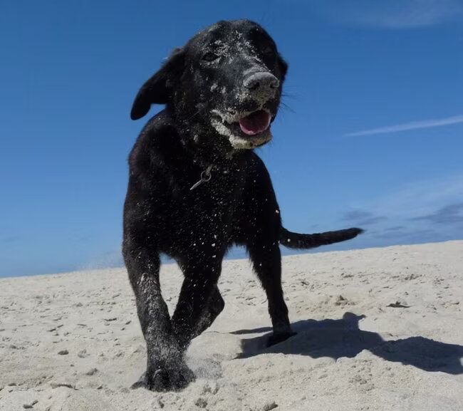 Foto van isabelle