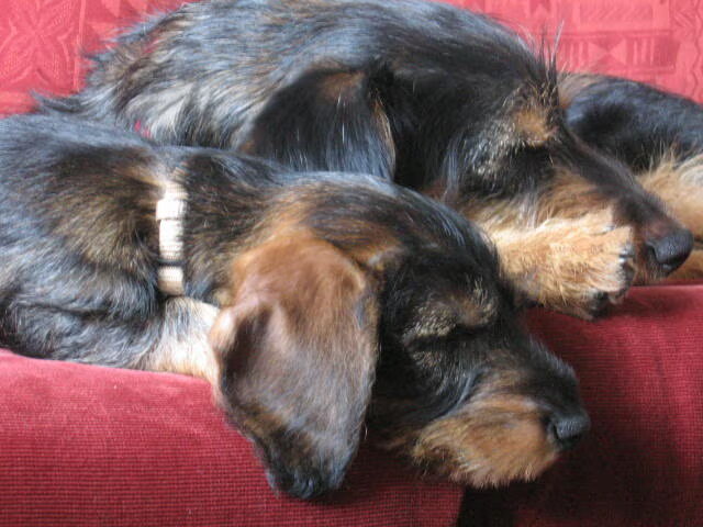Karel en Kazan