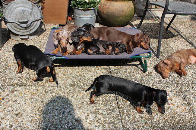 K-te, Cliff, Doran, Cleo, Joya, Bibi, Jessy, Casper lekker genieten van…