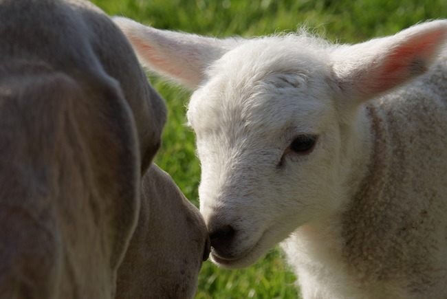 yordi met fleslammetje Fleur