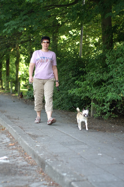 Samen een wandeling maken