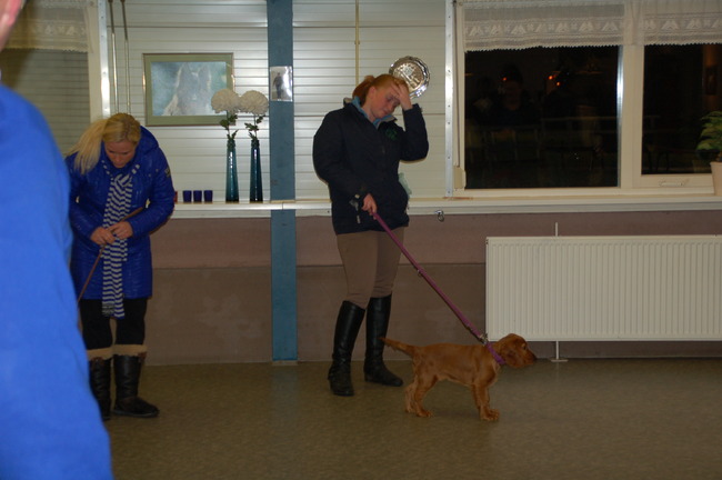 Senna op de puppen cursus