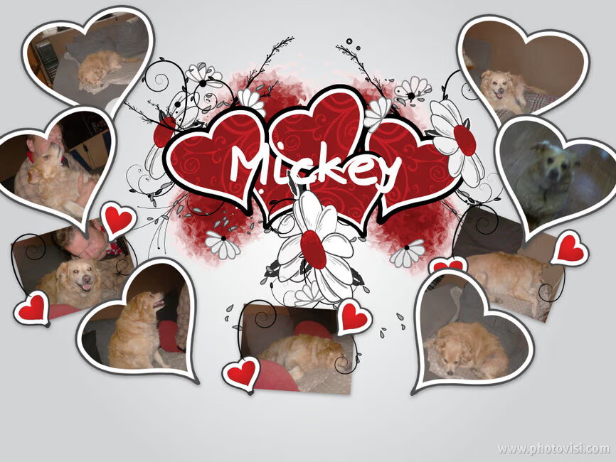 Mickey