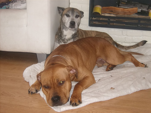 Mamma en Pappa Rufus