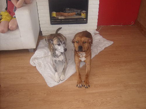 Mamma en Pappa Rufus