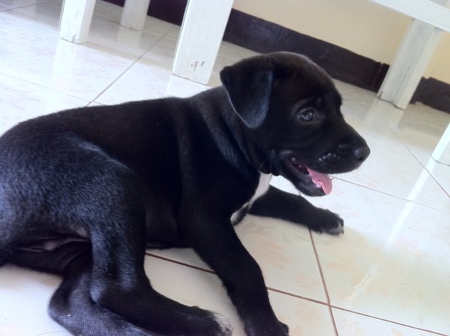 Pffff warm vandaag in thailand :)