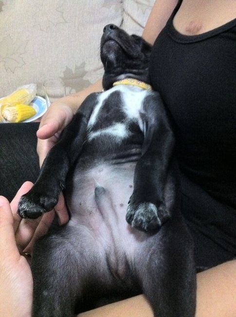 Zie me hier nou liggen...