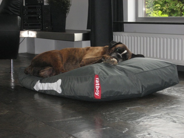 Zo gelukkig met m'n nieuwe Fatboy!