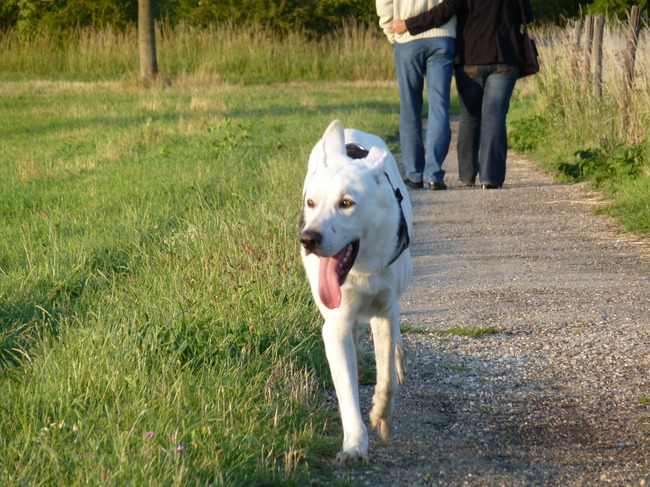 Hierkomen? Ik kom al!
