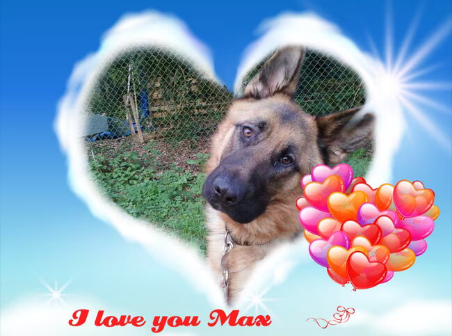 Foto van MaSpi///