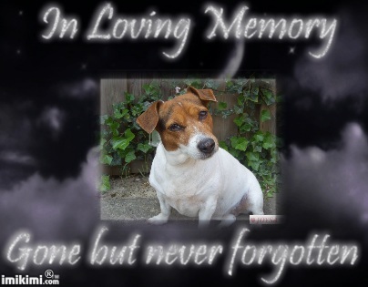 Nee, vergeten doen we jou nooit. xxx