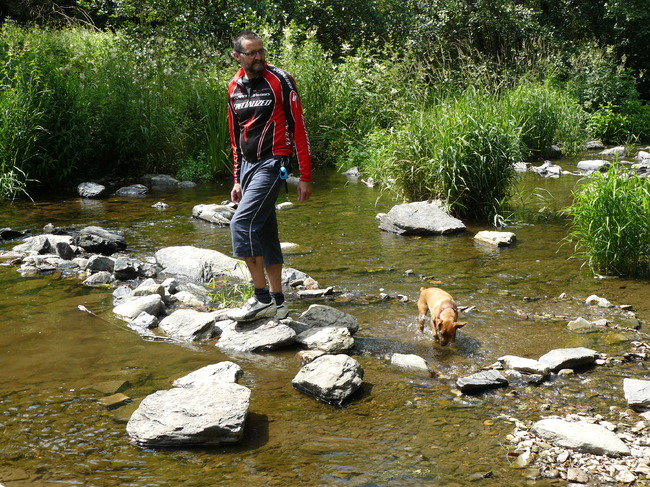 Ardennen 2011..wat leuk, water tussen al dat groen 