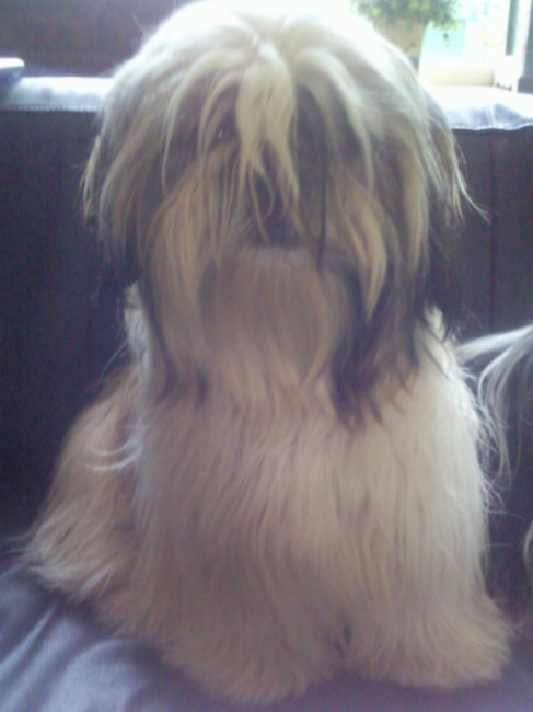 Biba mijn lieve slimme 