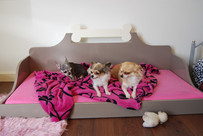 Het nieuwe grote bed, zelfgemaakt door baasje..