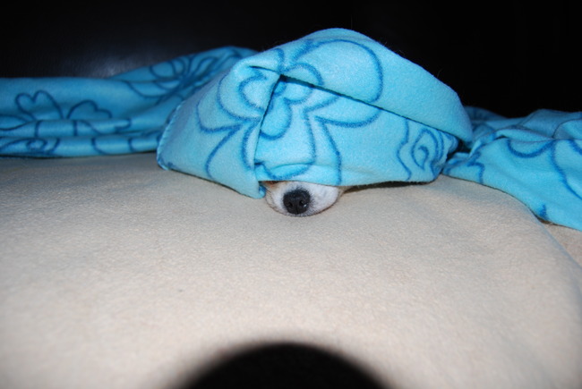 Je ziet me niet maar ik ben er wel..