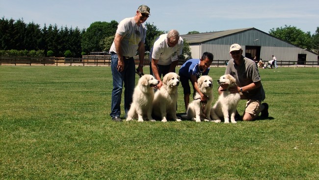 Giel met 2 broers en een zusje.