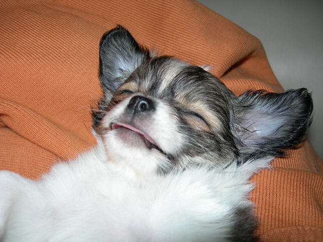 Na het spelen knock out..met t lappie eruit..