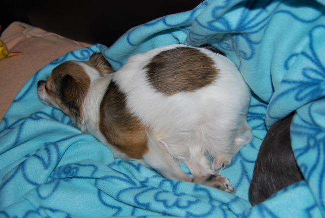 Sam ligt altij in een bochel:)