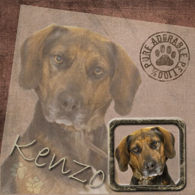 Kenzo
