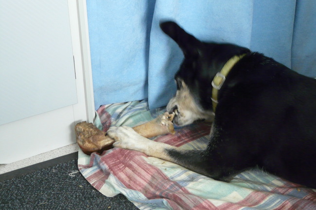 ik had ook nog ergens eenberggeit gevangen. (niet doorvertellen hoor!)