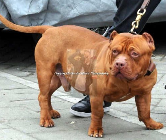 Nog een foto van de beer van een papa!! 