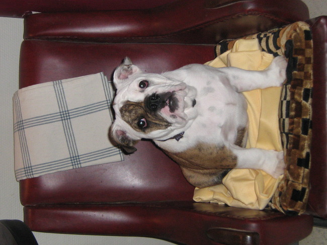 De koningin op haar troon.