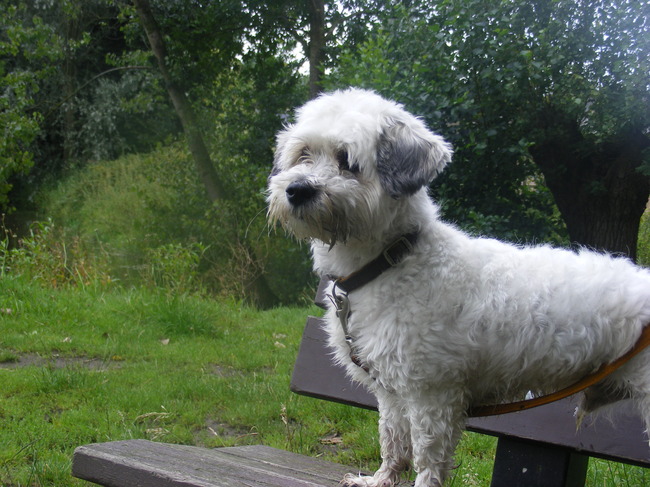 lekker zitten op het bankje