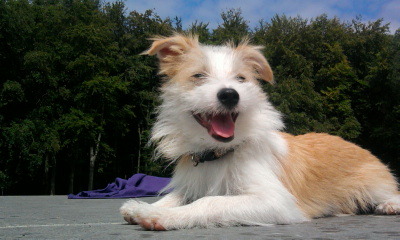 In Het Park Kan Alles  ^^