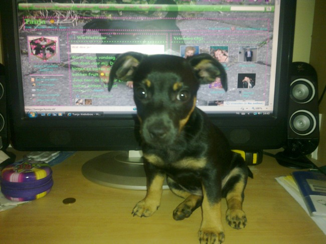 Tja, ik blijf graag op de hoogte van alles wat het vrouwtje doet.